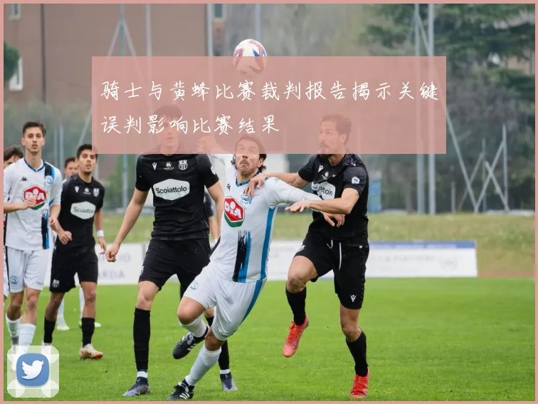 骑士与黄蜂比赛裁判报告揭示关键误判影响比赛结果